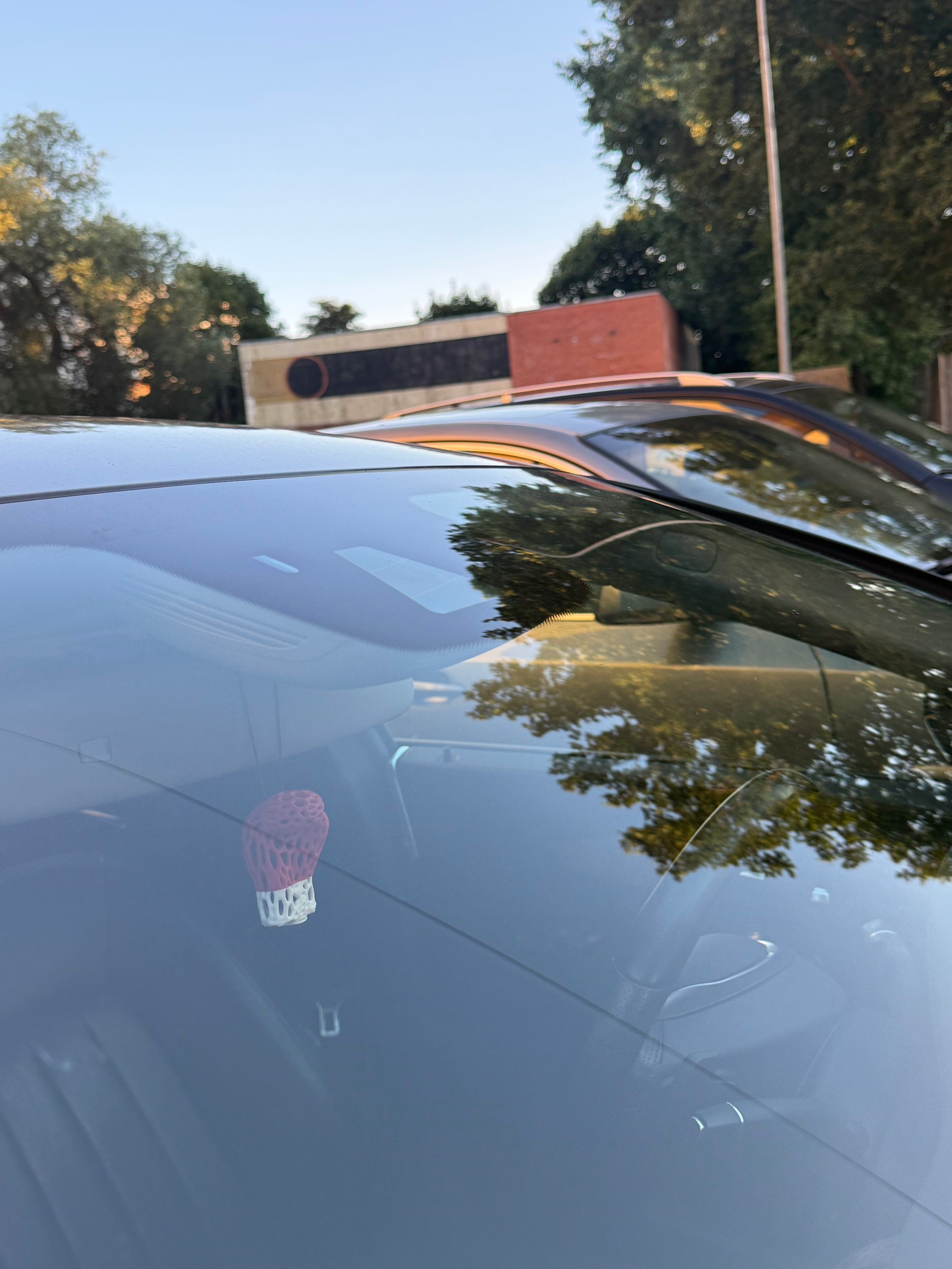 Boxing Glove Car Air Freshener