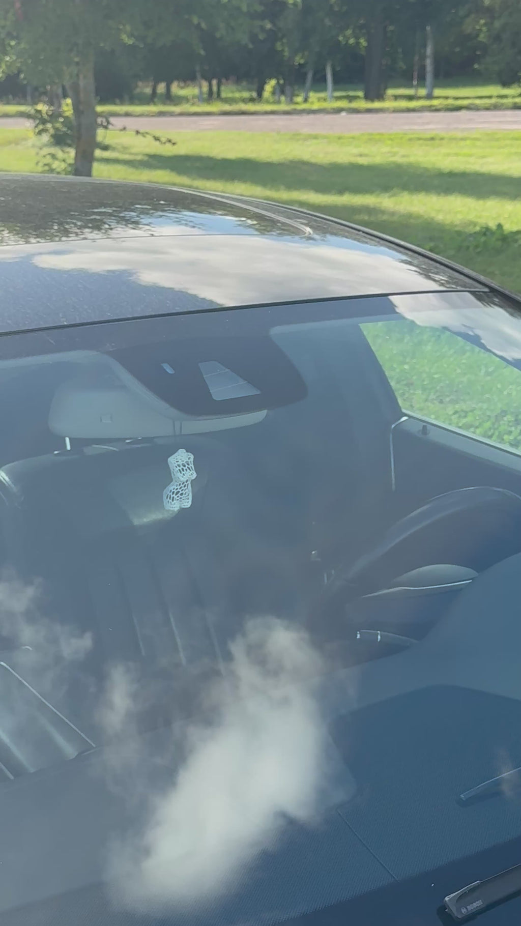 Woman Silhouette Car Air Freshener