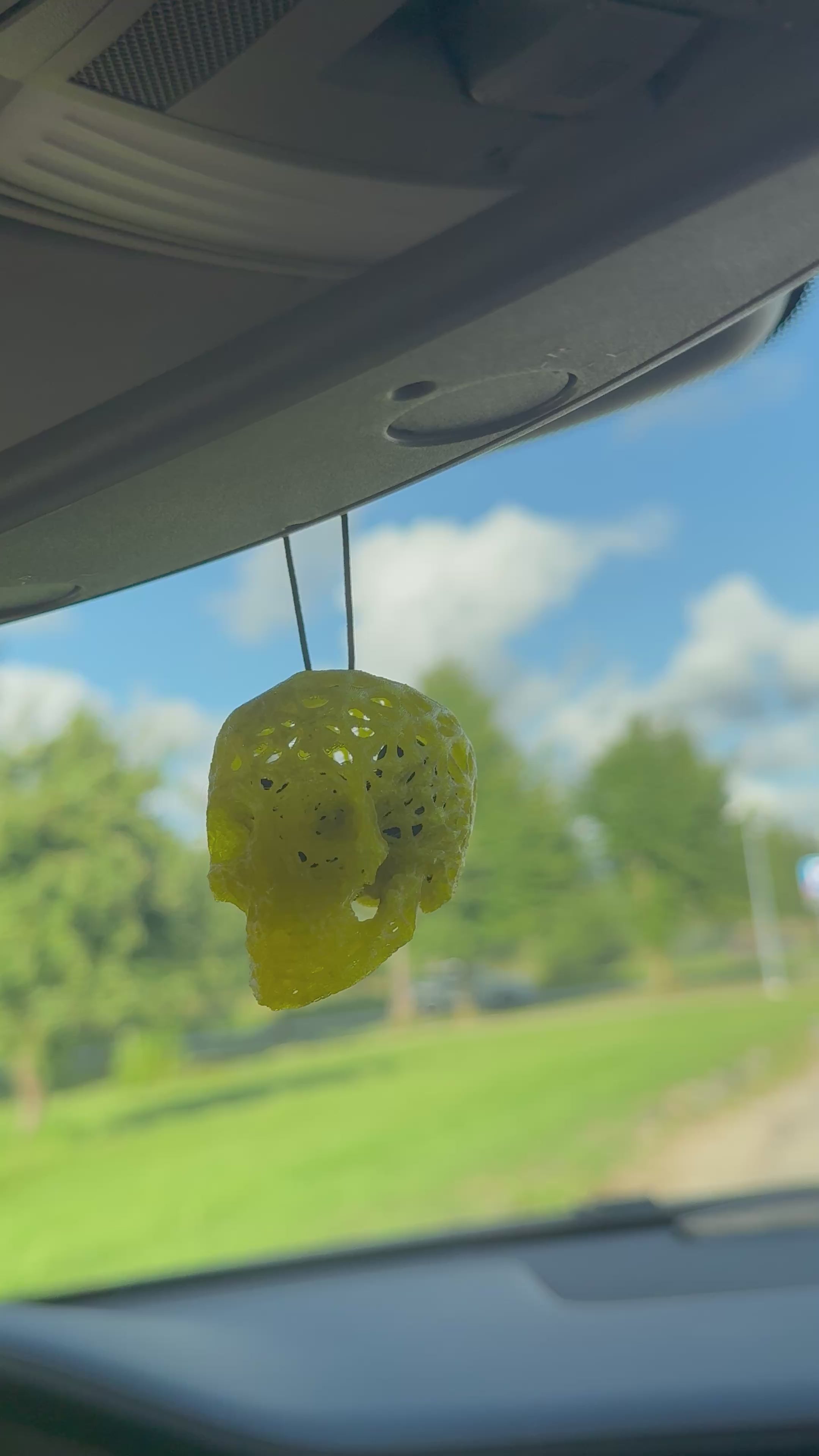 Skull Car Air Freshener